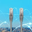 Kép 7/10 - Qoltec 5m CAT5e UTP patchcord aranyozott RJ-45 csatlakozókkal