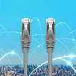 Kép 7/10 - Qoltec CAT5e 2m patchkábel aranyozott RJ-45 csatlakozókkal